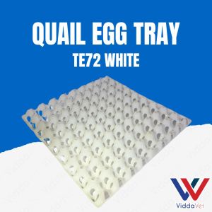 Quail Egg Tray White with 24 Slots for Organizing and Storing Fresh Eggs for Animals