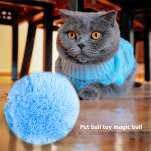 【New Arrival】 5pcs Magic Roller Balls No Toxic Automatic Dog Cat Balls Interactive Toys Automatic Pet Toy with 4 Plush Caps for Puppy