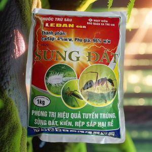 Diệt kiến rải chết kiến nhiều kiến chết nhanh sùng đất rải đuông dừa rải trừ bọ cánh cứng hại dừa tuyến trùng muỗi hành sâu đục thân
