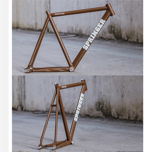 Khung xe đạp Fixed Gear Springer Pantone cao cấp | Lazada.vn