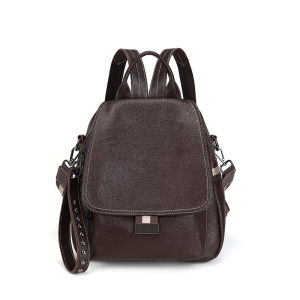 Royal Bagger Genuine Cow Leather Fashion Waterproof Travel Backpack For Women Girls New Super Hot High Capacity Backpacks Womens Outdoor Work Shoulder Crossbody Bags Casual Multifunction Handbag