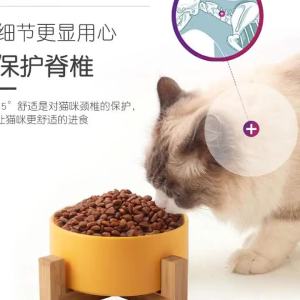 CeramicBowl with Slanted High Stand for Cats and Dogs Neck Protection