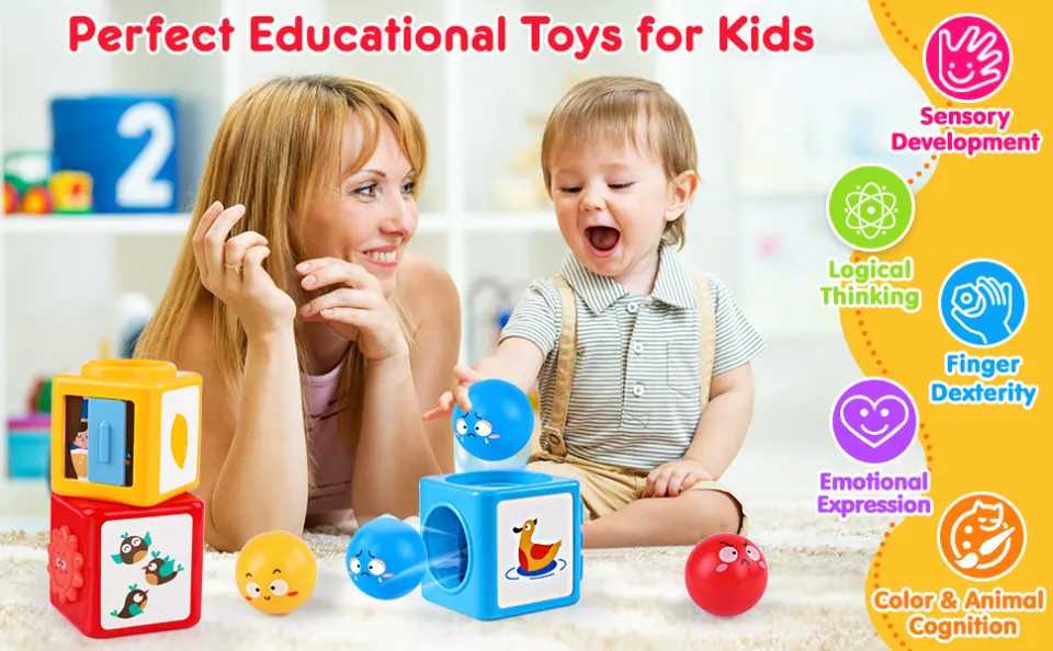 Baby Toys 6-12 Months Stacking Sorting Toys for Year Old Boys Girls  Montessori Toys for Toddler 1-3 Ball Drop Toys for Kids Blocks Educational 