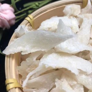 sarang burung walet atau YENWO asli BERSIH patahan sudut SUPER 10gram