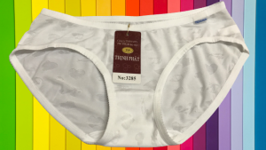 Quần Lót Nữ Thun Bông THỊNH PHÁT 3285 Size 55-65Kg) Quần Chip Nữ thun co dãn thoải mái mềm mại thoáng mát Nhiều màu đẹp