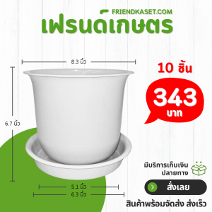 กระถาง กระถางต้นไม้ มินิมอล ถ้วยจีน+จาน ขนาด 8 นิ้ว สีขาว 10 ใบ ชิ้น อัน