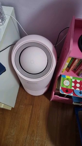 Buyer review video 2
