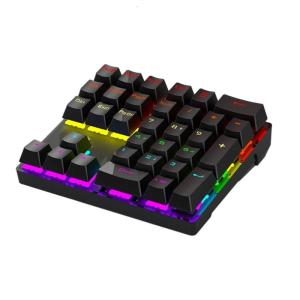 Ergonomic 33Key Hot Swappable Mechanical Numerics Keypad With AntiSlip Base RGBs Backlit USB Wireds Design For Programming Accounting Tasks