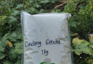 MURAH BUBUK DANDANG GENDIS HERBAL 500 GRAM