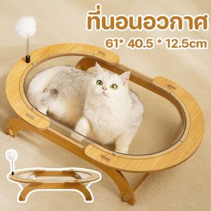 【Yohei】หลุมแมว ที่นอนสัตว์เลี้ยง ของเล่น 2in1 หลุมอะคริลิค ที่นอนอวกาศ  งานไม้แข็งแรง ถอดออกได้