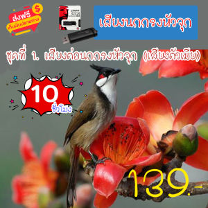 G8SHOP เสียงนกกรงหัวจุก ชุดที่ 1. เสียงต่อนกกรงหัวจุก (เสียงตัวเมีย) mp3 ความยาว 10 ชม.เสียงชัด เสียงใสกังวาน ได้ผล100%