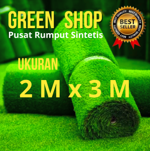 RUMPUT SINTETIS UKURAN 2X3 M