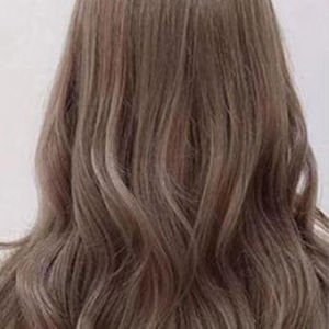 Plant Bubble Hair Dye Shampoo 300ml Pure Plant Extract Hair Color Bubble Dying Shampoo For Covering Grey Hair