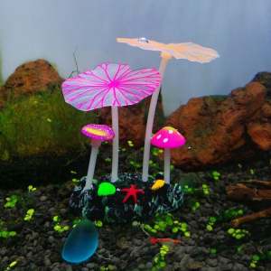 Fish Tank Flurescence Decoratios / Aquarium Supplies Ready Stock
