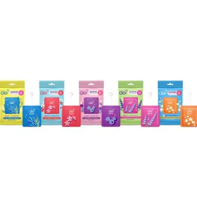 Godrej Aer Power Pocket Air Freshener Bathroom & Toilet -10g-