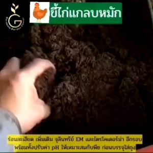 ขี้ไก่เเกลบหมัก ขี้ไก่หมักธรรมชาติ หมักด้วยจุลินทรีย์ EM หมักนานข้ามปี