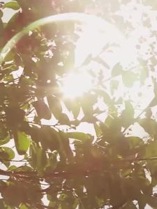 Yunnan Materia Medica deodorant body odor removal water armpit odor antiperspirant lotion  armpit freshening spray s Body Odor Spray Deodorant antiperspirant spray