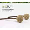 Catnip Matata Polygonum Lollipop 猫薄荷木天蓼棒棒糖. 