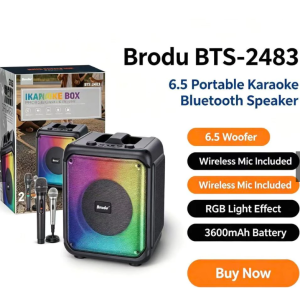 BRODU BTS 2483 Bluetooth Speaker IKAOKE 6.5" speaker stereo system sound with Free 2 Microphone (wireless Microphone and Wired Microphone) COD