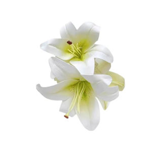 Lily Clip Women Hair Accessories Beach Hair Clamp Flower Hair Clip Beautiful Shark Clip