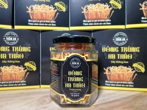COMBO 10 hộp 20gram ĐÔNG TRÙNG HẠ THẢO khô TRÂM AN loại THƯỢNG HẠNG sấy thăng hoa hỗ trợ và tăng cường sức khỏe - xưởng nhà nuôi cấy đóng gói