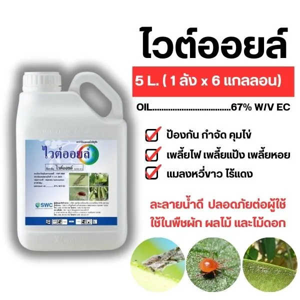 10 สุดยอดสารจับใบและยาจับใบ ตัวช่วยสำคัญเพื่อพืชผลที่ดีที่สุดในปี 2025!