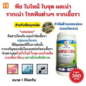 กำจัดเชื้อรา โรคใบไหม้ ใบจุด ในต้นมะละกอ แพนน่อน(แมนโคเซป) + สารจับใบ FK เพิ่มประสิทธิภาพการดูดซึม