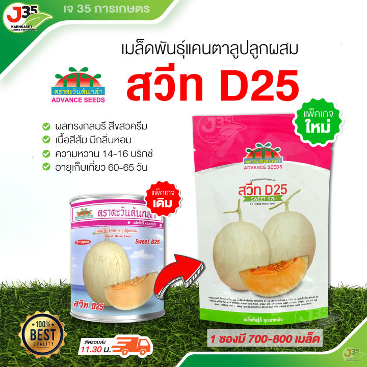 10 อันดับ เมล็ดพันธุ์แคนตาลูป ยี่ห้อไหนดี? อัปเดตปี 2025 สำหรับปลูกเองที่บ้าน