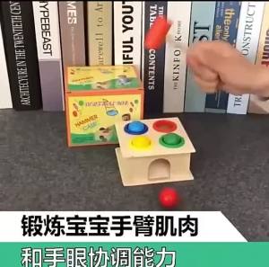 Wooden Ball Game Educational toy Activity Small hammer case toy