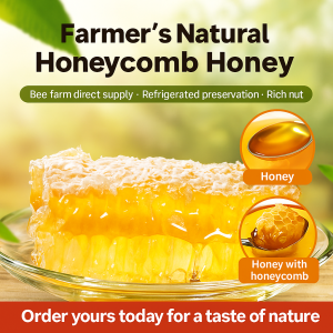 Farmer‘s Natural Honeycomb Honey Sweet Delicious Natural Health Hive Honey Snack Food