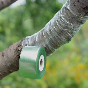 【Local Warehouse】2/3/5CM 1 Roll Grafting Tape Garden Tools Fruit Tree Secateurs Engraft Branch Gardening Bind Belt PVC Tie Tape Grafting Film