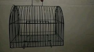 UNTULAN KANDANG TERMURAH COD