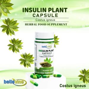 Bellevine Insulin Plant Capsules 100s 500mg Costus igneus Plant Based Food Supplement for Adults Daily Wellness Support Antioxidant Support Botanical Capsule Format Natural Green Leaf Ingredient Convenient Bottle Pack for Routine Use For Daily Intake