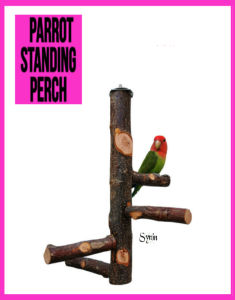 🇸🇬 Parrot Standing Perch Natural Wood Perches Pet Budgie Toy