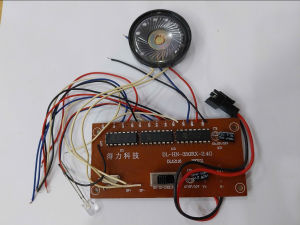 RX350 Mạch rời tần số 2.4G 15 kênh nguồn 7.2V hãng HuiNa kèm loa