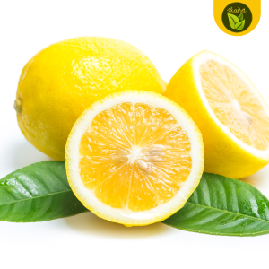 Lemon Citrus Fruit 10 Seeds for Planting Binhi Pantanim