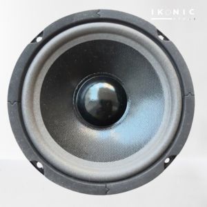IKONIC Speaker 6 Inch Pasif Speaker Woofer ACR 660 Power Speaker 60 Watt Original Bergaransi Resmi