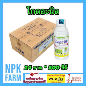 ขายยกลัง โกลอะนิล ขนาด 500 ซีซี ยกลัง 24 ขวด อะนิโลฟอส 30% EC กำจัดหญ้าดื้อยาในนาข้าว ทั้งใบแคบ ใบกว้าง หญ้าดอกขาว ข้าวนก ลิเก กก พุ่มพวง กระดูกไก่ 1 ขวดใช้ 10 ไร่ npkplant