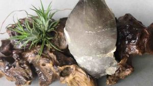 Đá Thạch Anh đen khói kèm đế gỗ lạ mắt - mã 71