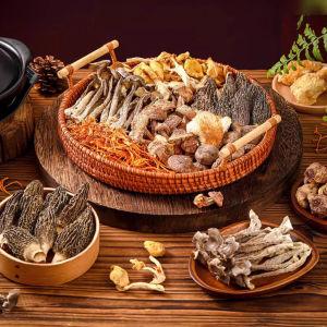 野生羊肚菌 Morel Mushroom 10g 头茬羊肚菌 优质菌菇干货煲汤食材