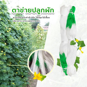 ตาข่ายปลูกผัก อวนแตง ตะข่ายไนลอน ค้างผัก ต้นไม้เลื้อยตาข่ายไนล่อน ตาข่ายแตงกวา ตาข่ายปลูกถั่ว