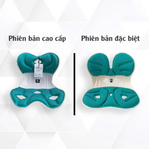 (Chính Hãng) Ghế FA Ergonomic - Japan Tech Chuẩn Công Thái Học 2 Phiên Bản Chống Gù Hiệu Quả