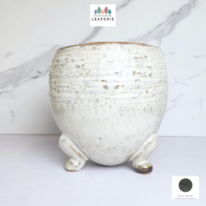 The Leaferie Arnold plant pots. flowerpot . flowerpots . flower pot . planter . planters . Ceramic