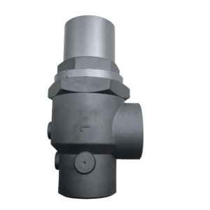 DN-40A Minimum Pressure Valve Screw Air Compressor Spare Parts Domestic Alternatives