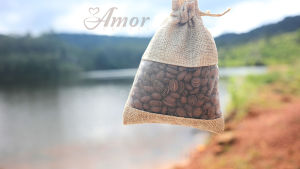 Túi treo thơm hạt cà phê rang 100% nguyên chất túi vải đay có cửa sổ cafe khử mùi xe oto tủ lạnh trong phòng