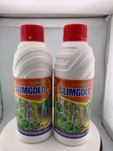 Slimgold 510SC 900ml: thuốc trừ cỏ mía cỏ khóm/ cỏ khóm (cỏ dứa) hậu nảy mầm