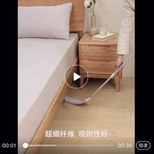 Mini Flat Mop/Extension Rod Ceiling Cleaning Duster