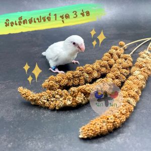 < 3 ช่อ มิลเล็ตสเปรย์ > Millet Spray แบ่งขาย ธัญพืช เมล็ดพืช อาหารเสริม นก ลูกป้อน ฟอฟัส เลิฟเบิร์ด ซันคอนัวร์ ค็อกคาเทล