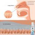 Obat Semprot Hidung Sinusitis Spray Original Nasal Spray Hidung Sinusitis Dewasa Rhinitis Hidung Pilek Alat Terapi Kesehatan Allergy. 