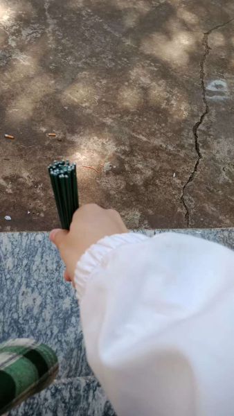 Buyer review video 2